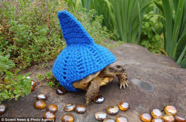 article-2510555-19883F1700000578-571 634x417