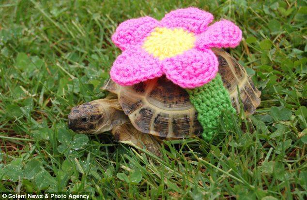 article-2510555-19883E3100000578-609 634x414