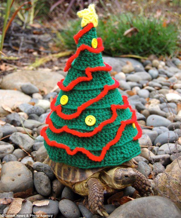 article-2510555-19883A7A00000578-356 634x764