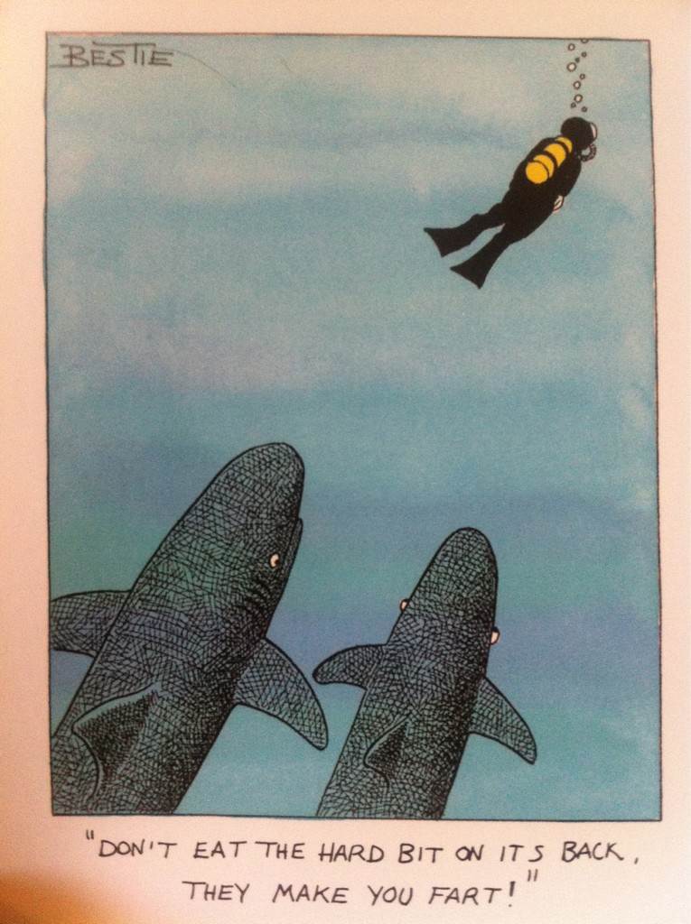 shark fart