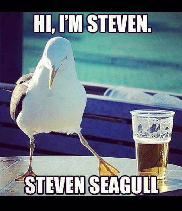 1509217 10151776588156353 2118256332 n