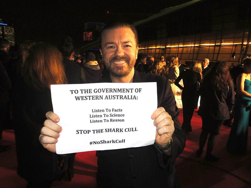 1003069 529081342437 283246600 n