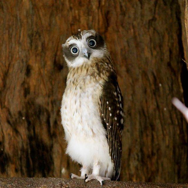 1476454 621267674607606 1471964071 n