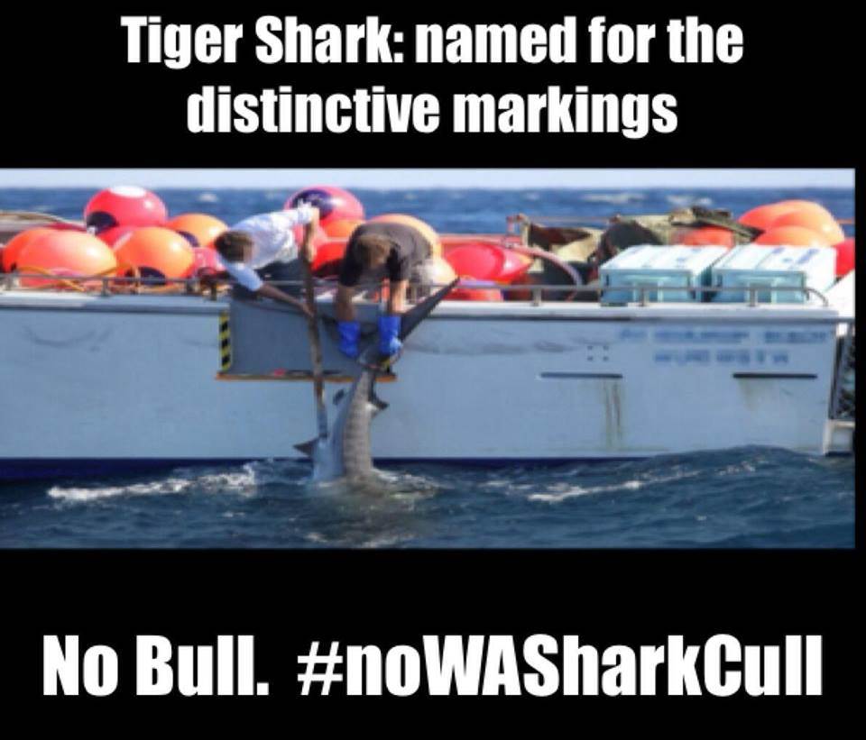 1620741 10202880538473804 1799124993 n