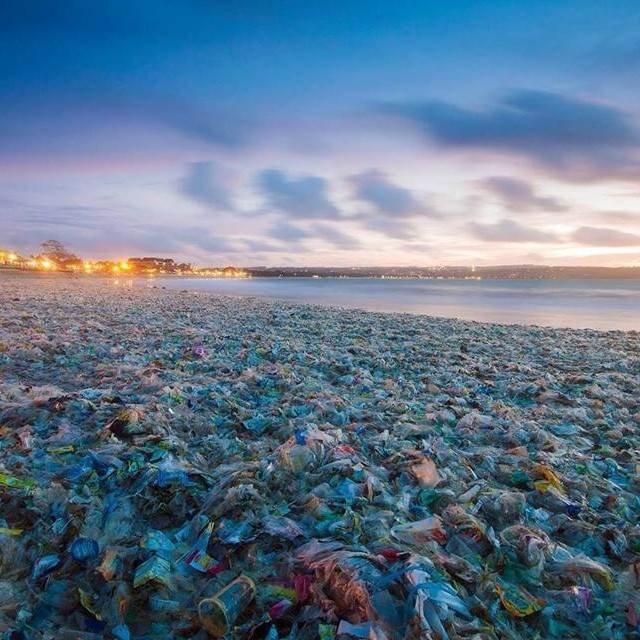 1546178 10152116864471597 1586000373 n