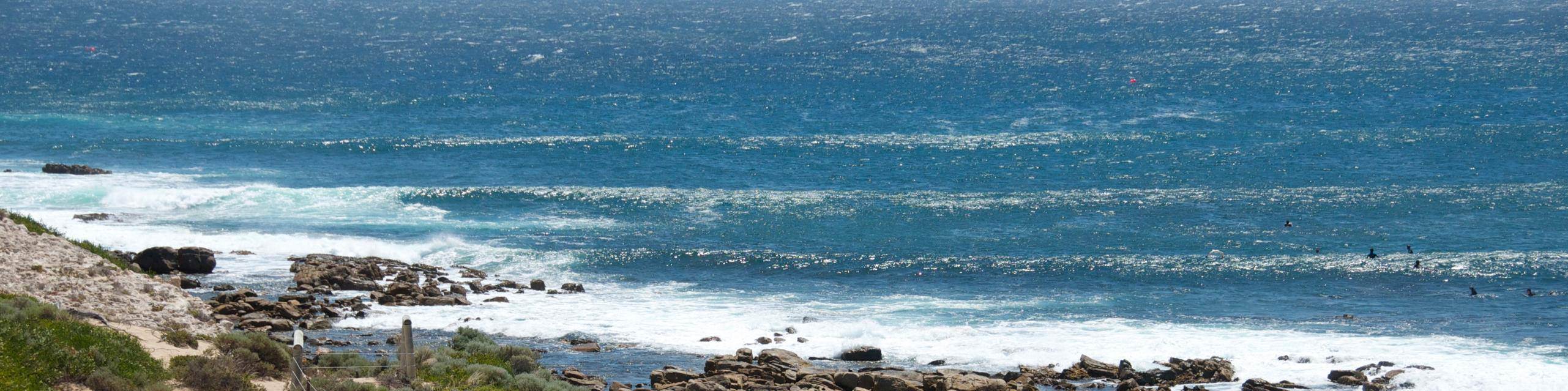 1599553 631661813536292 1496567018 o