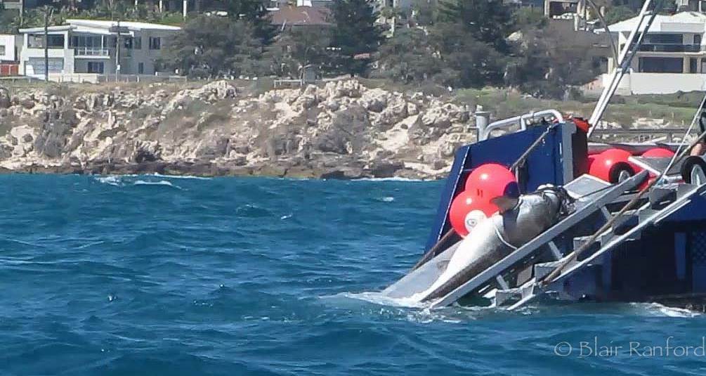 1780248 594892260598057 743879789 o