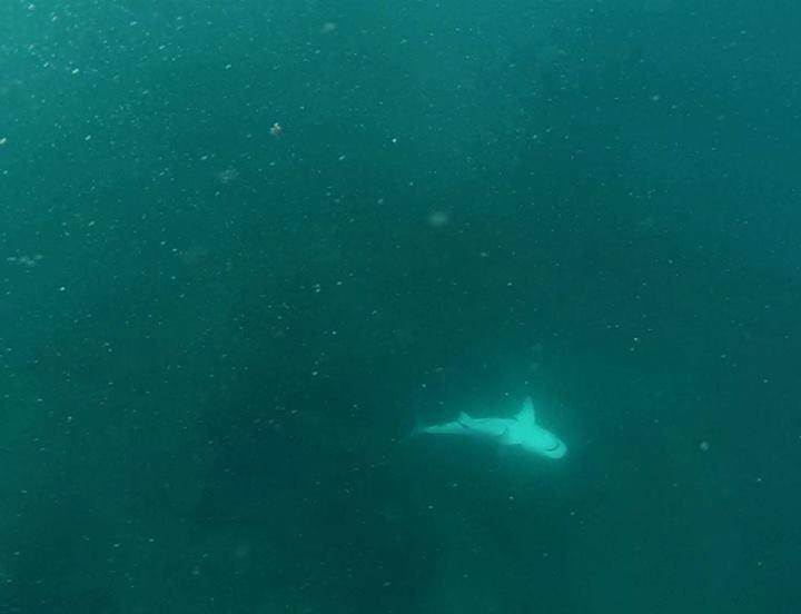 1796497 597437747010175 654653701 n