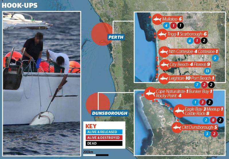 1017422 588815057867805 1395025931 n