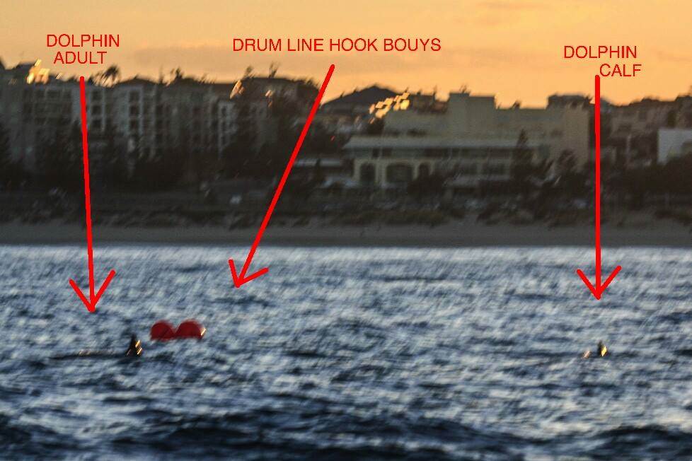 1596748 10202682468278587 488075036 o