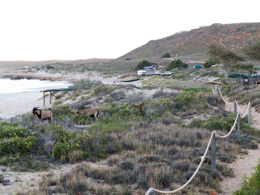 received m mid 1393572887714 1051d4f366f7964d84 5