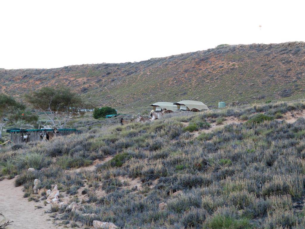 received m mid 1393572887714 1051d4f366f7964d84 2