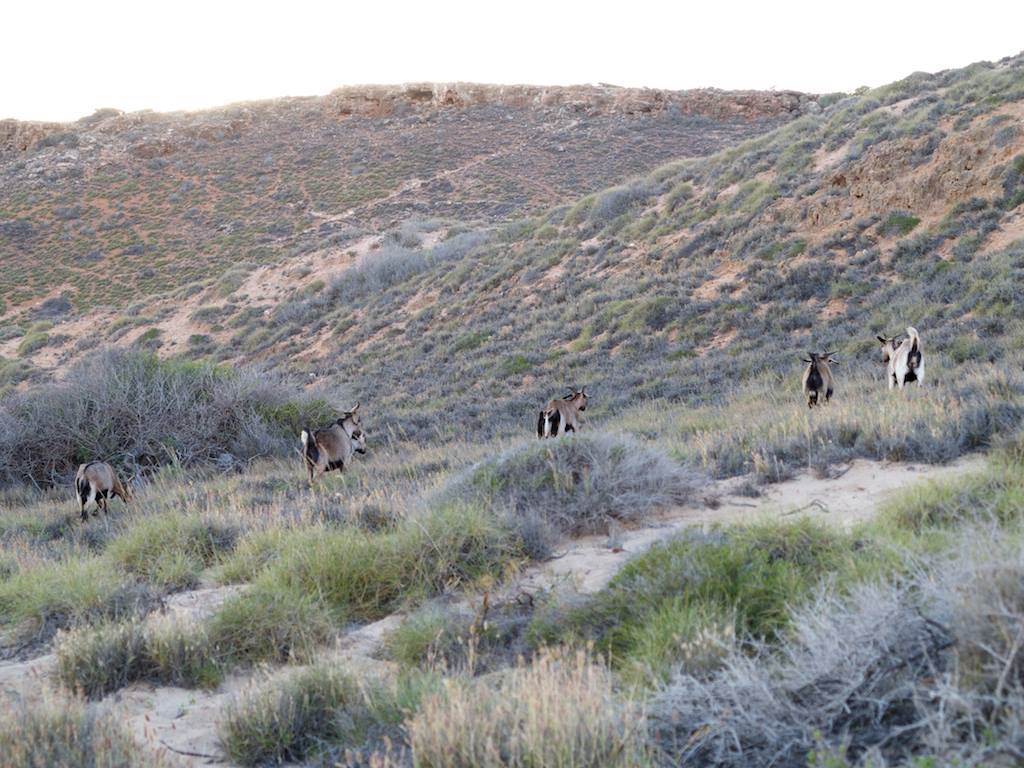 received m mid 1393572887714 1051d4f366f7964d84 1