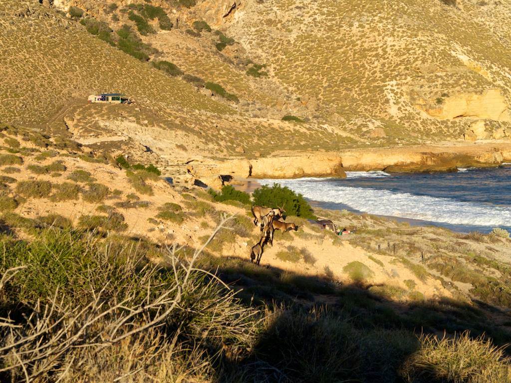 received m mid 1393572887714 1051d4f366f7964d84 4