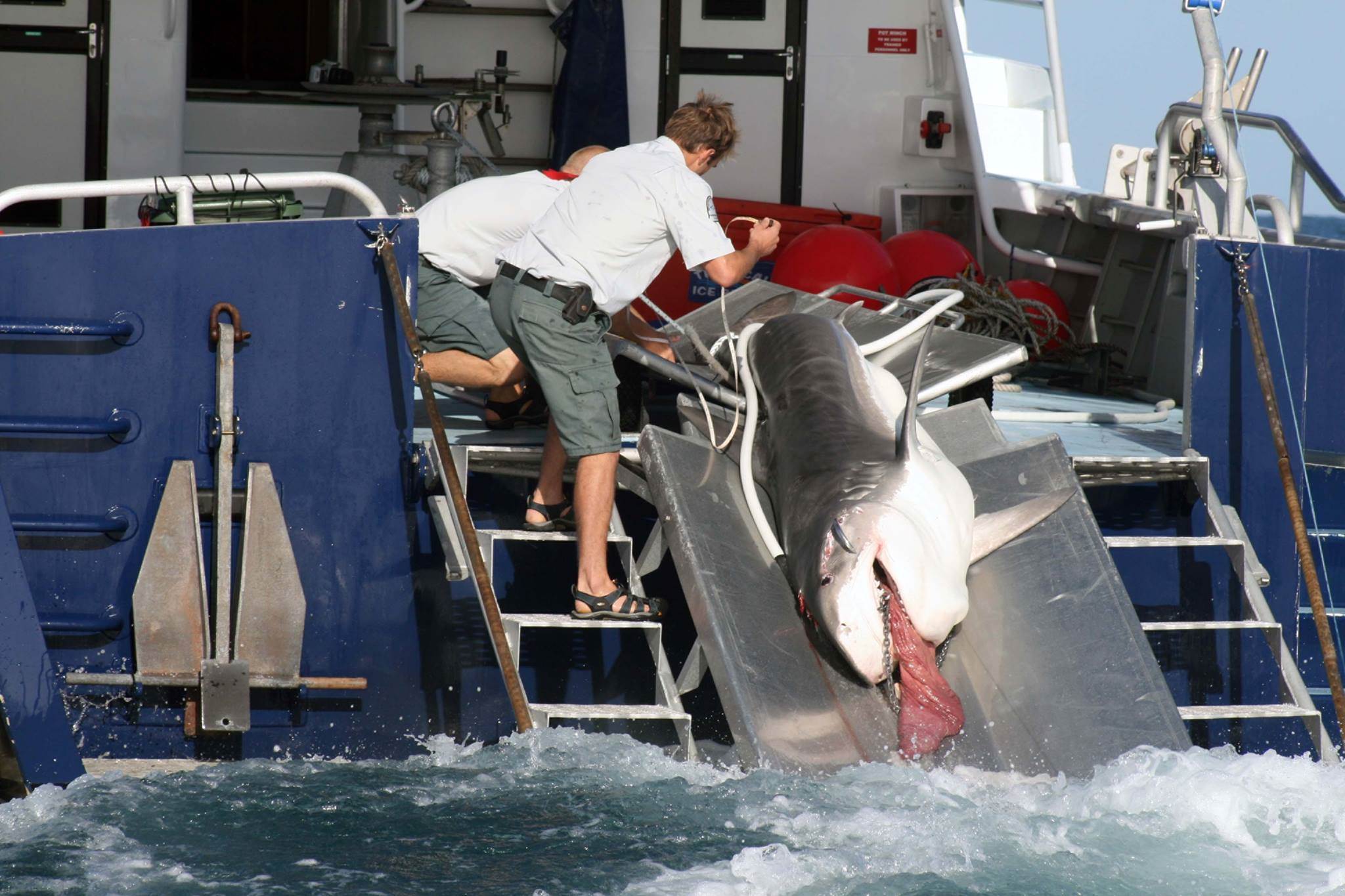 1072452 290354344456097 208906114 o