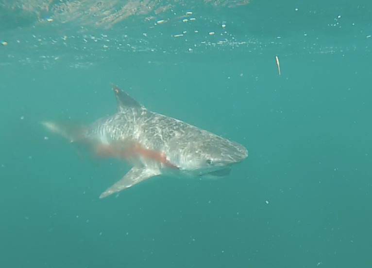 1920034 10152017124942807 562320512 n