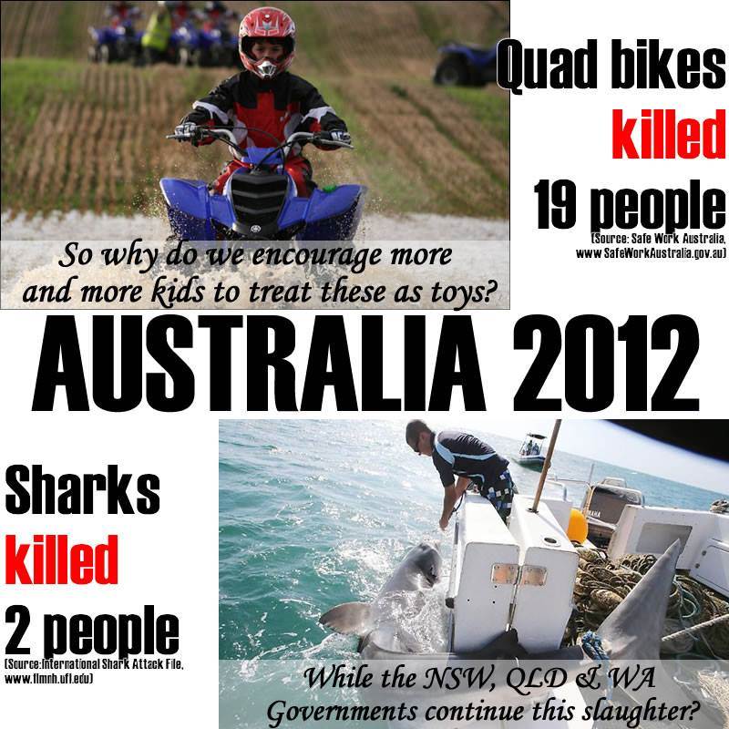 1601295 691817430859658 21862410 n