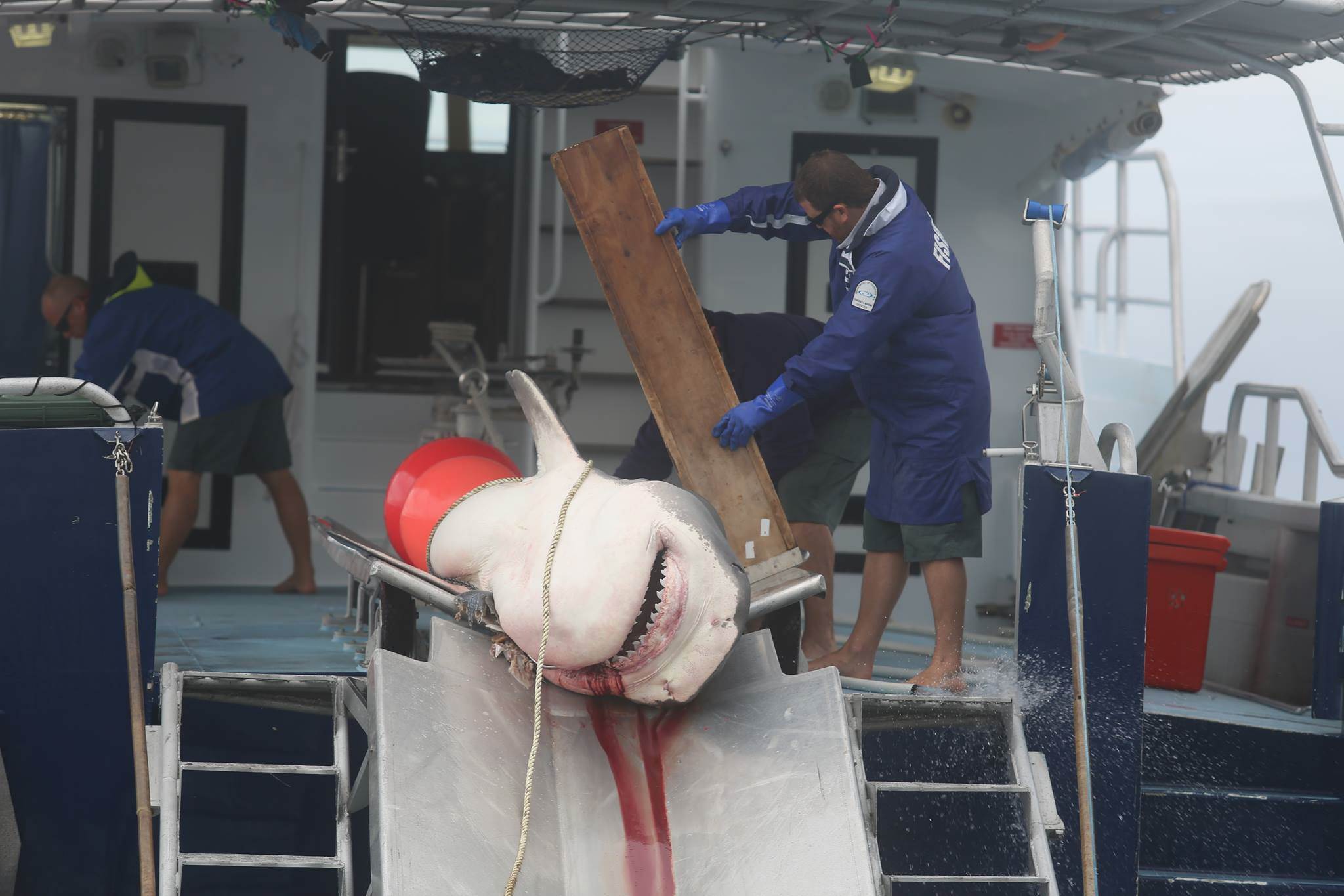 1957706 10154017811875093 1831892667 o