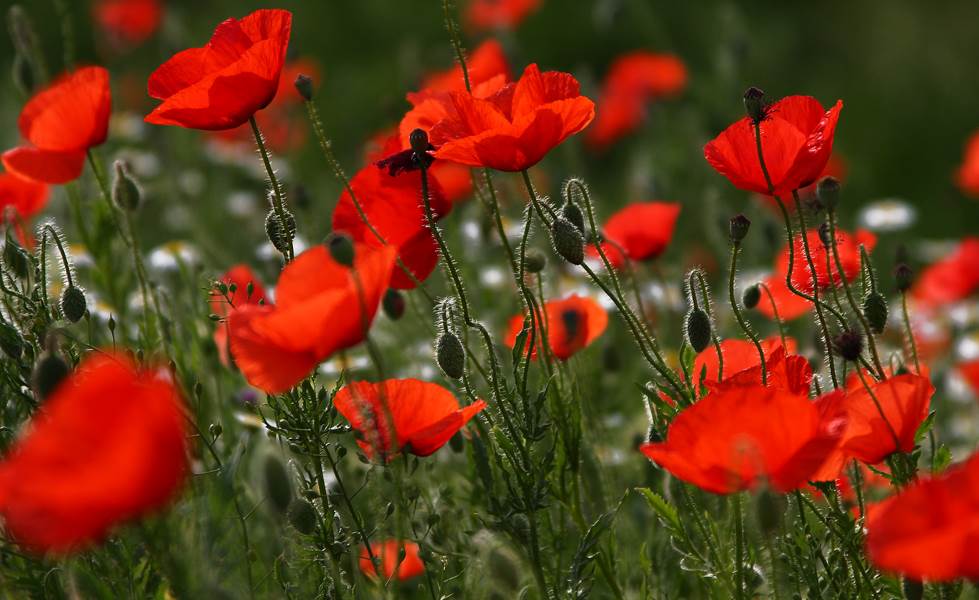 Nothing funny about it...