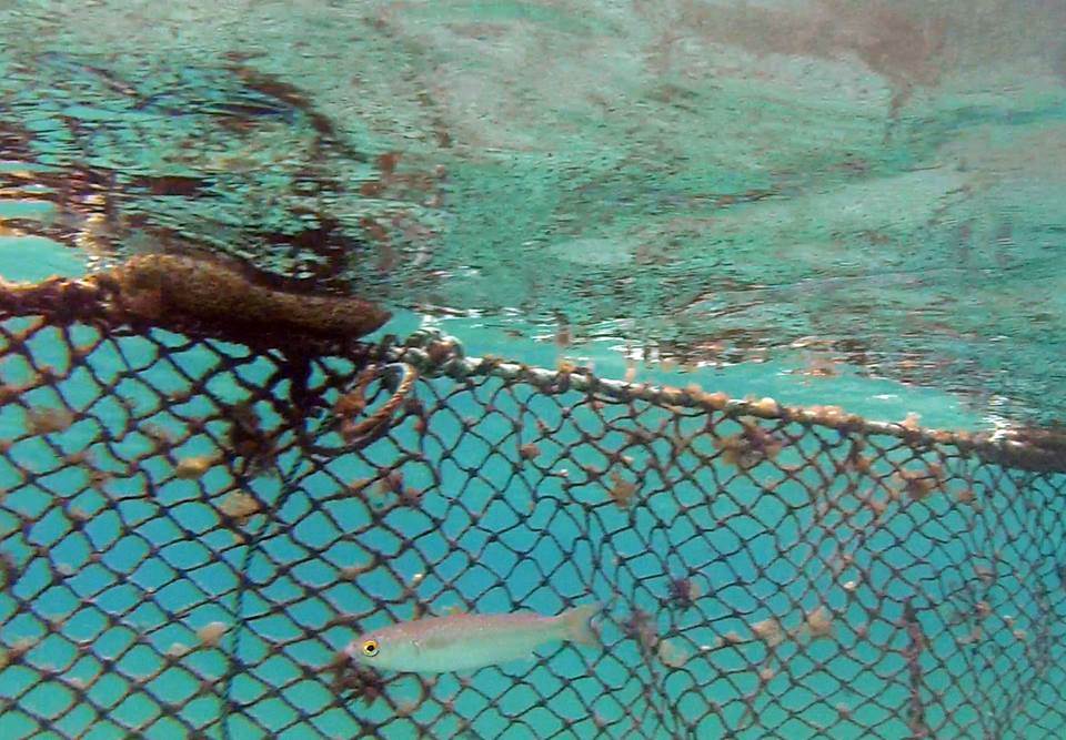 10258655 303882243103307 3319603094893230869 n