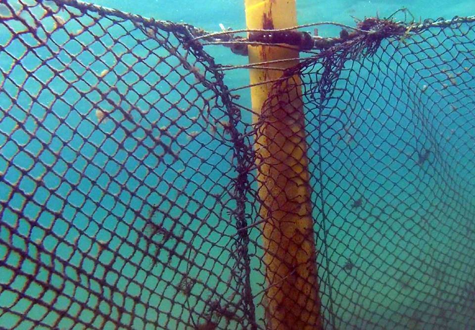 10308103 303882126436652 891537883187119350 n