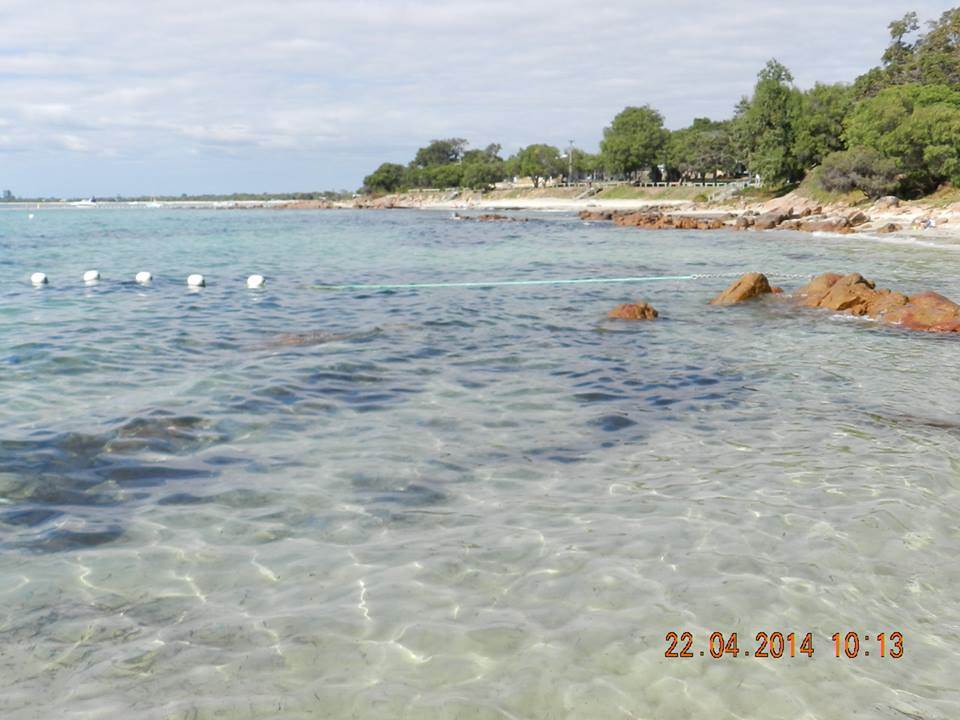 10003927 10154136522735543 2961489503656971355 n