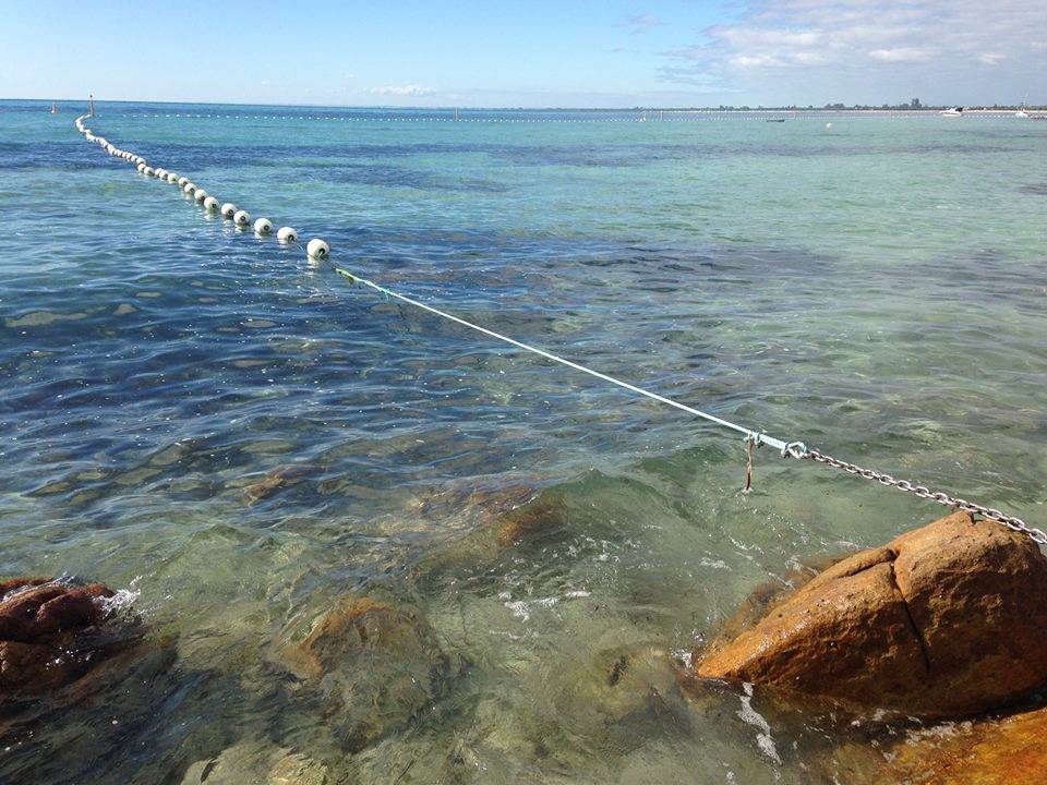 10173659 10203666828410561 2093765341034656100 n