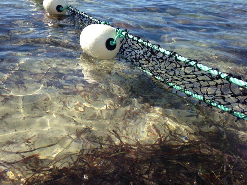 1001975 10203666822290408 6527854805667526908 n