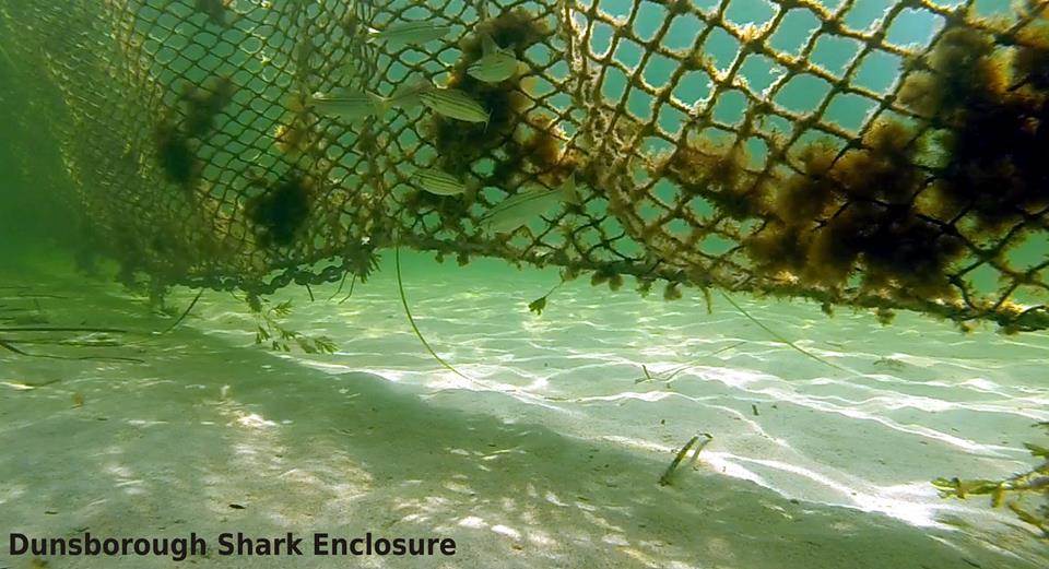 10334452 457848794317971 7280748911066938415 n