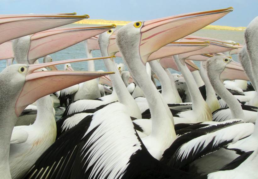 Screen Shot 2014-07-02 at 7.27.07 pm