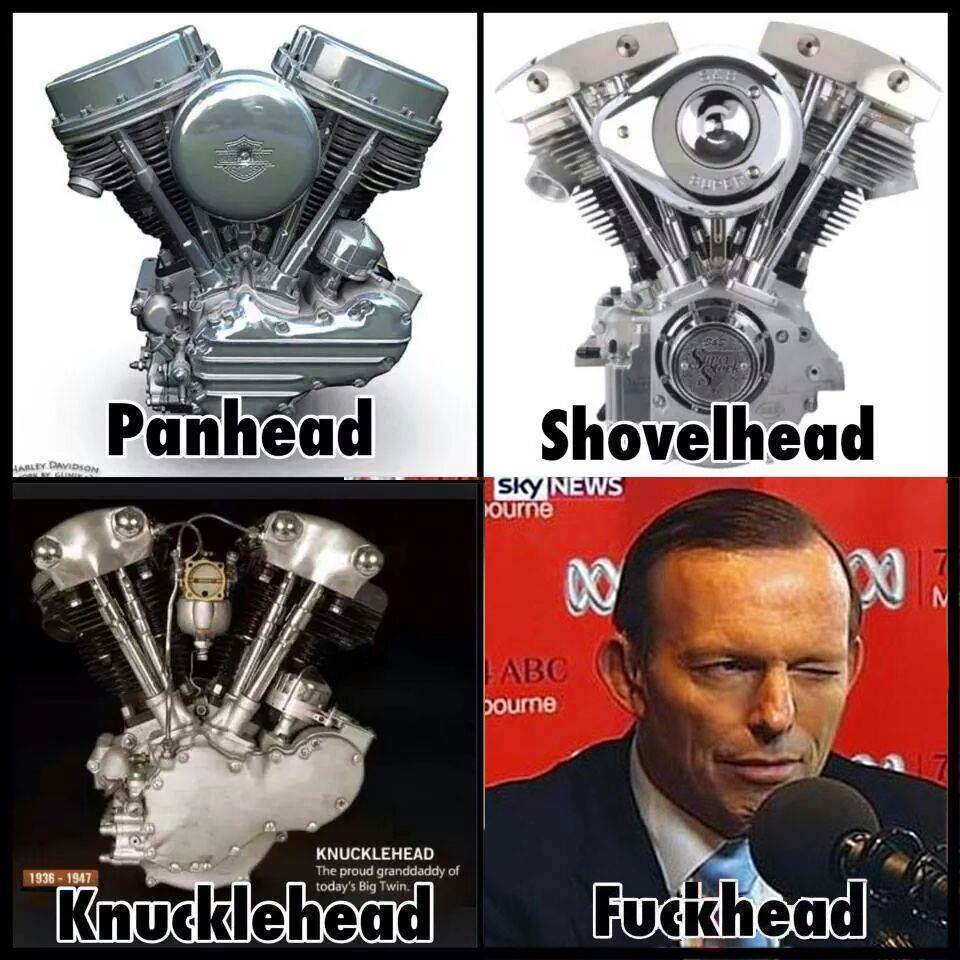 10590574 283655491820075 1286111470886688057 n