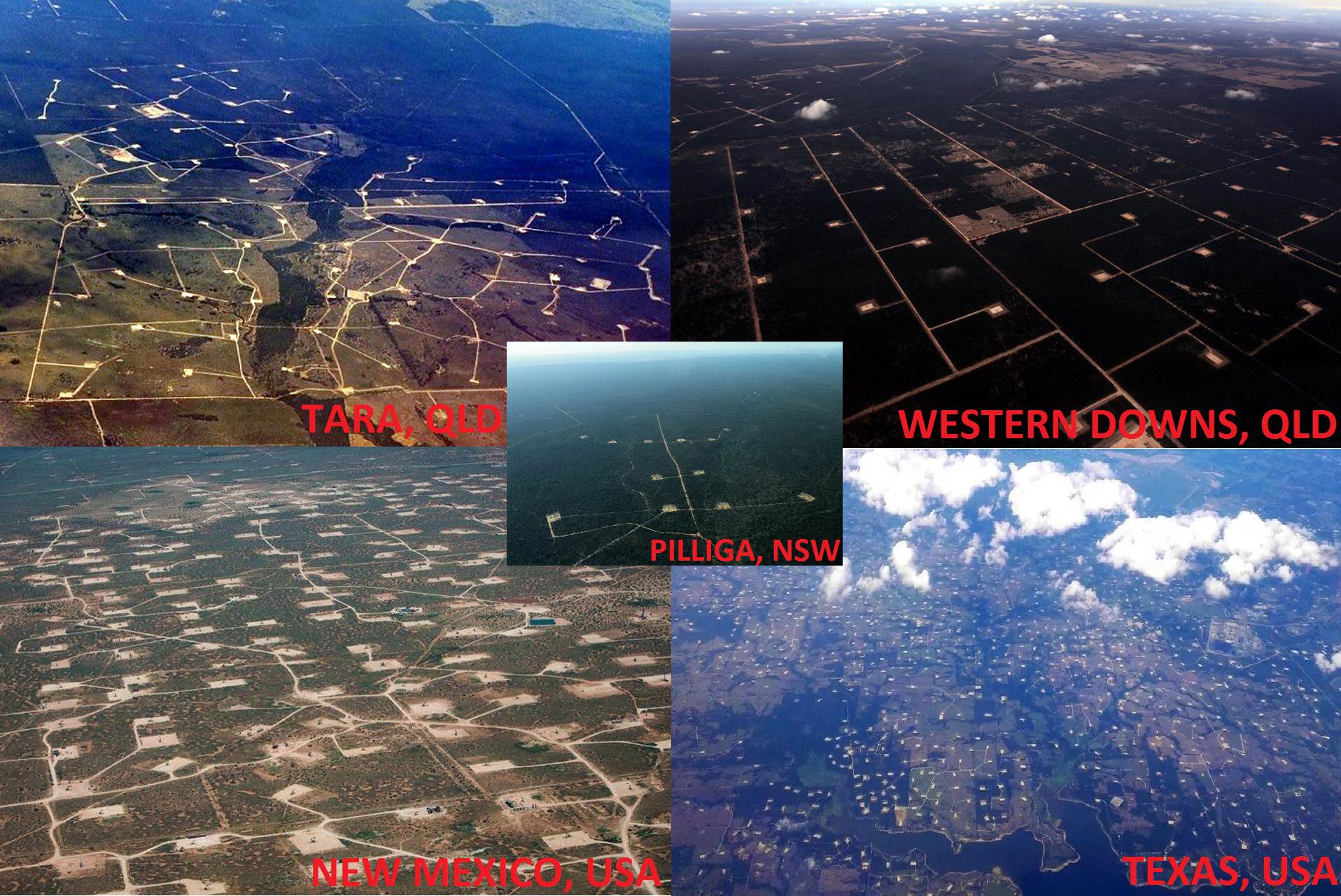 What to expect for NSW