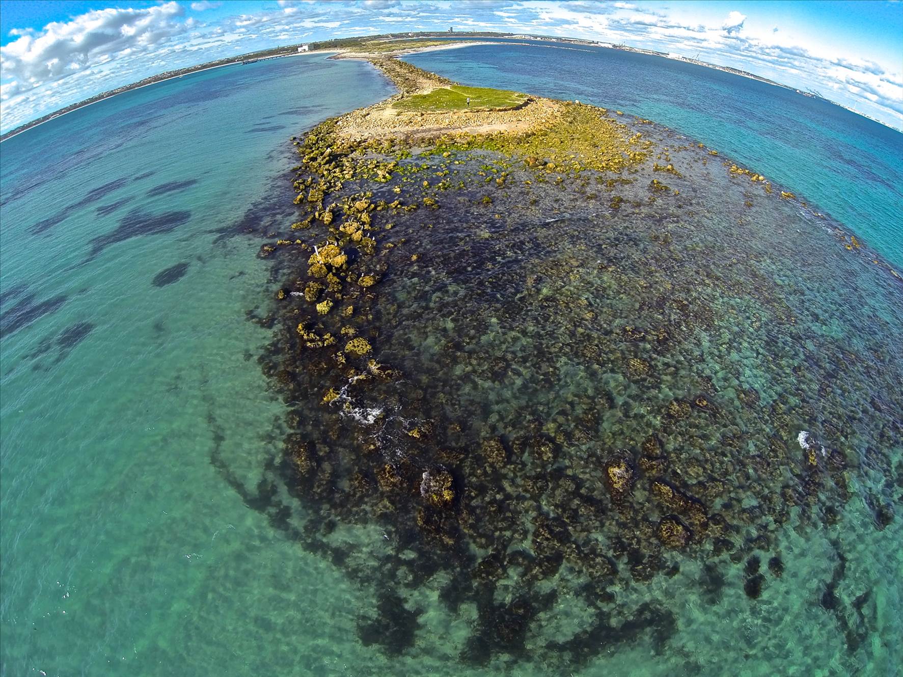 Woodmans Point from above