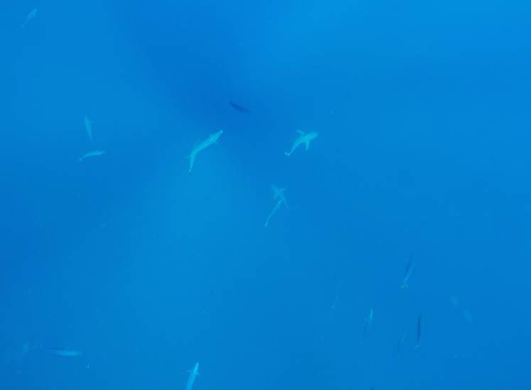 Screen Shot 2014-10-10 at 10.31.14 am