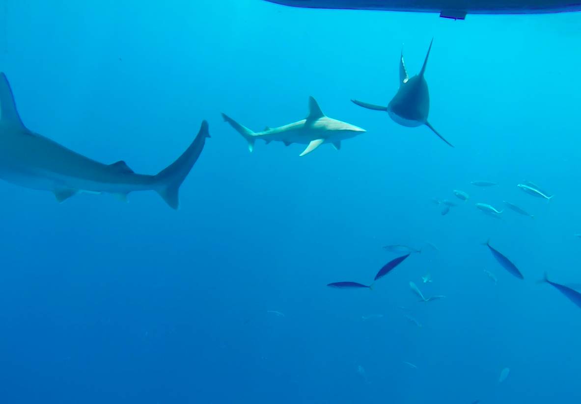 Screen Shot 2014-10-10 at 10.48.37 am