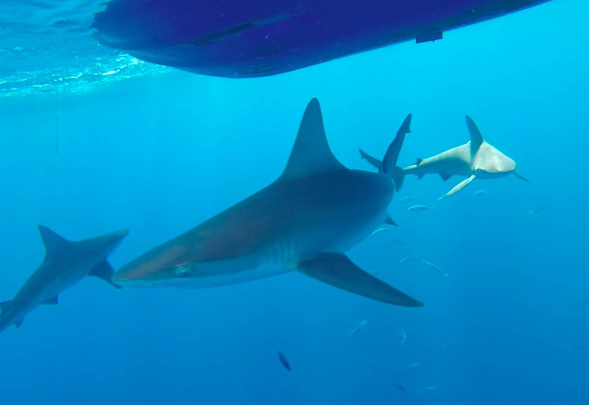 Screen Shot 2014-10-10 at 10.49.09 am