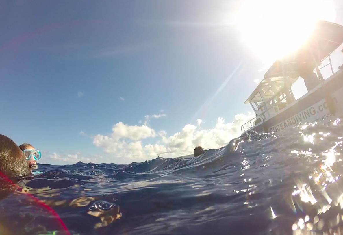 Screen Shot 2014-10-10 at 10.58.09 am