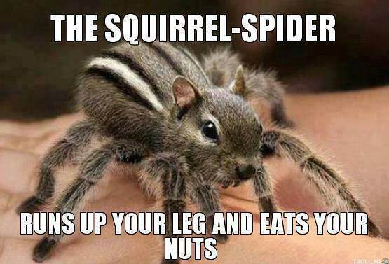 1979666 10152317600698678 2000167260 n