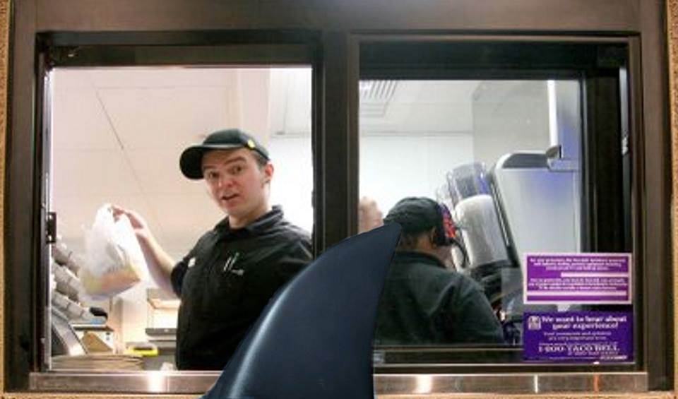 10892006 546664668769716 4516719334769263391 n