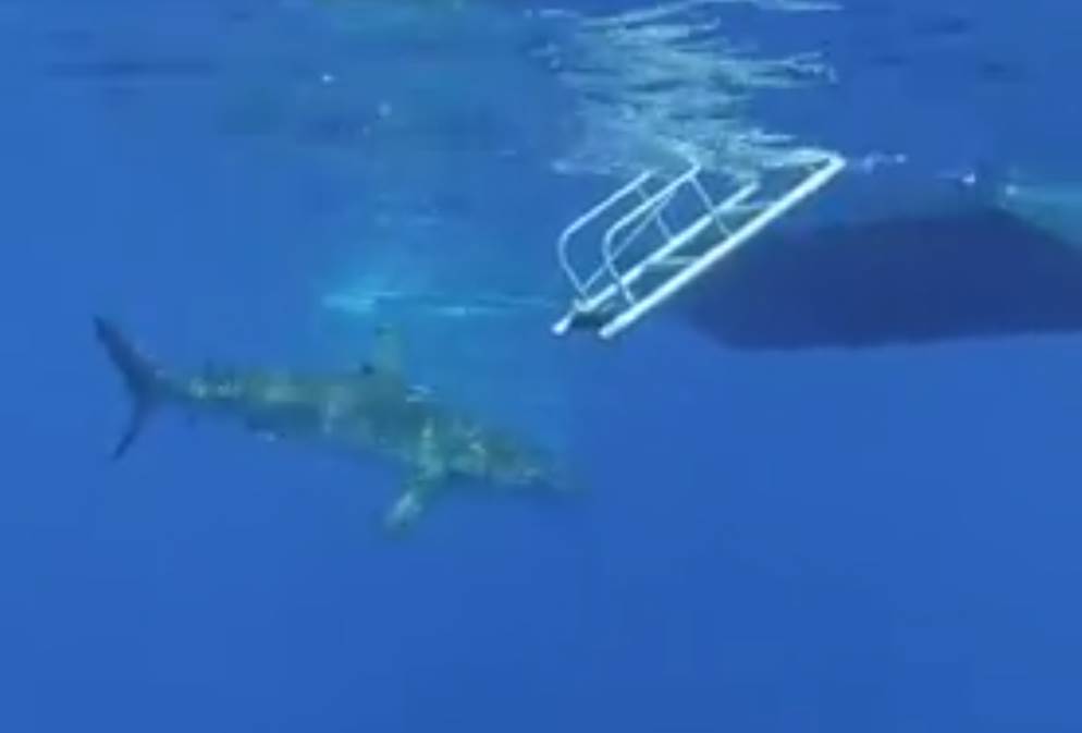 Screen Shot 2014-12-18 at 9.42.16 am