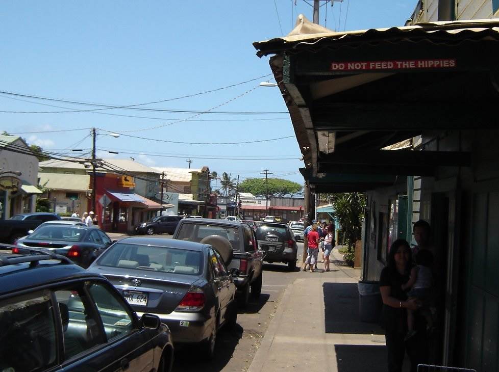 Do not feed the hippies