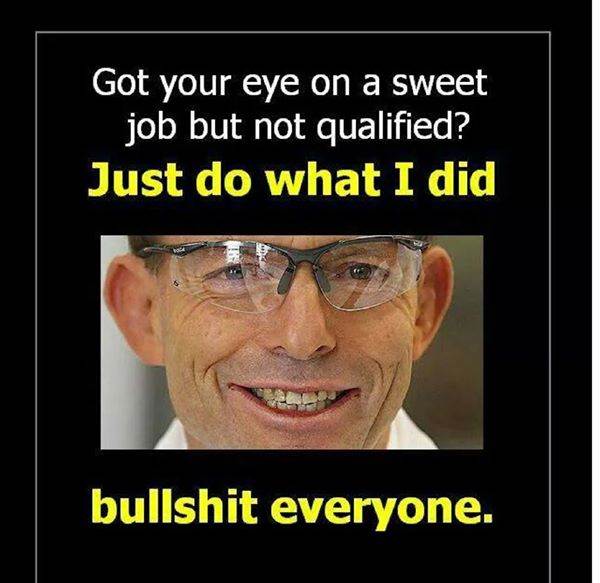 10995696 392514020921749 4453059770786364232 n