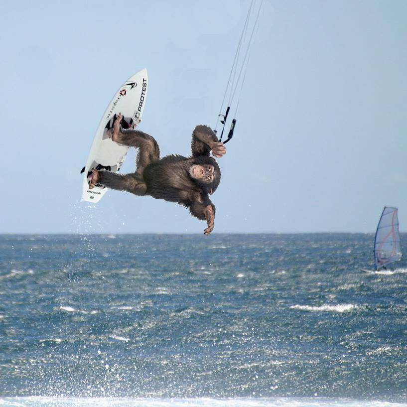 11182301 726576550784829 2951229874232319214 n