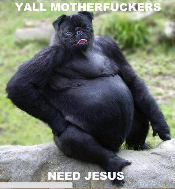 1975117 664117363650044 2145596010 n