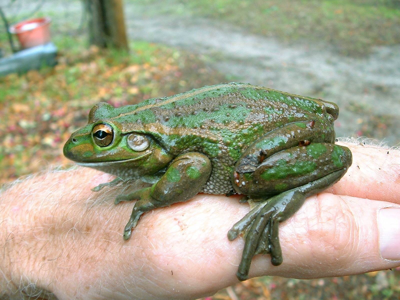 Just lookin for ma motorbike.