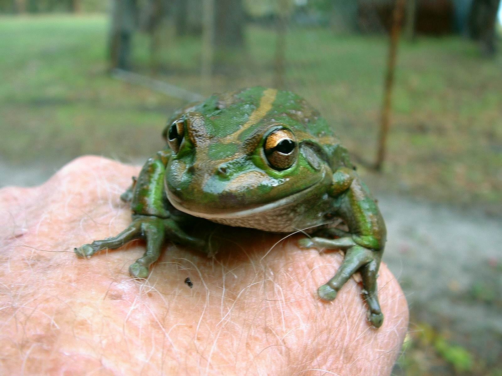 Just lookin for ma motorbike.