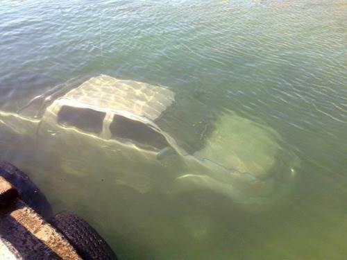 tumblr m1aq5zj9ab1qahnsxo1 500