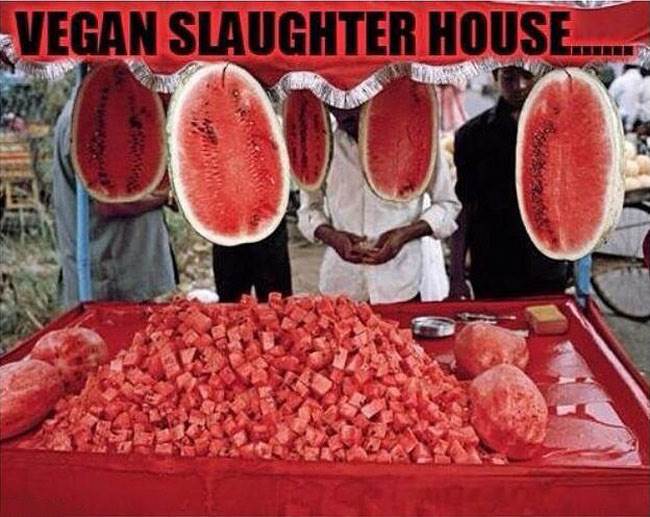Vegan-Slaughter-House