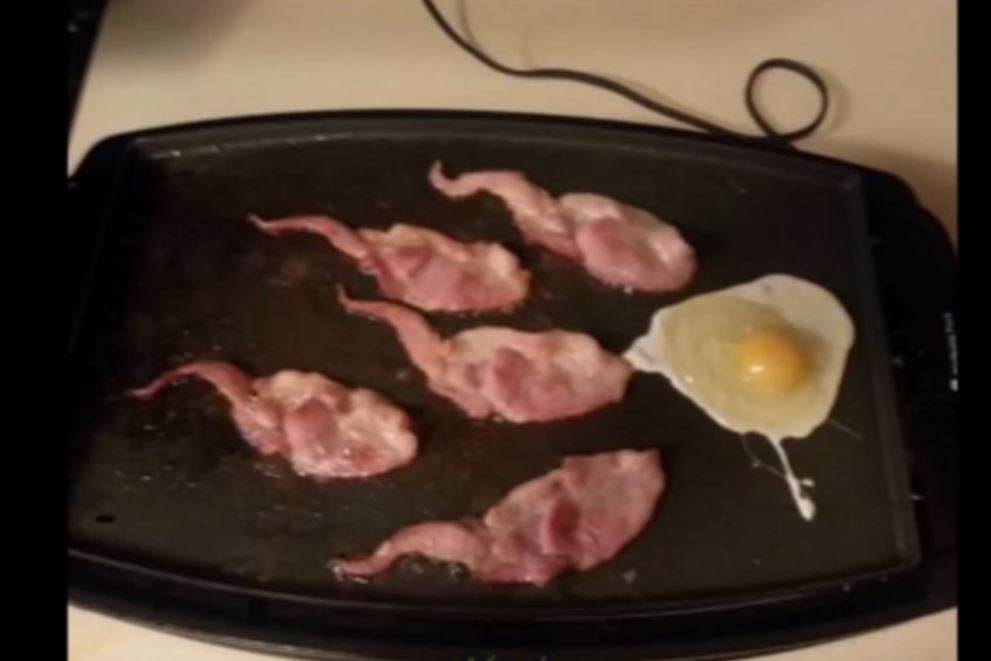 bacon sperm