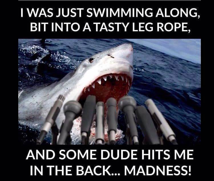 FB IMG 1437384012887